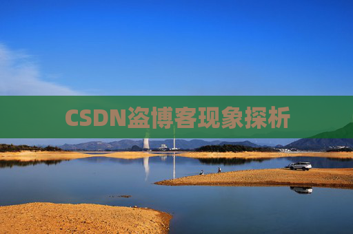 CSDN盗博客现象探析 CSDN盗博客现象探析